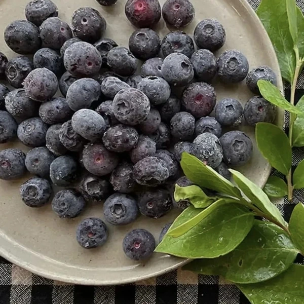 _600x600_260731145557.webp