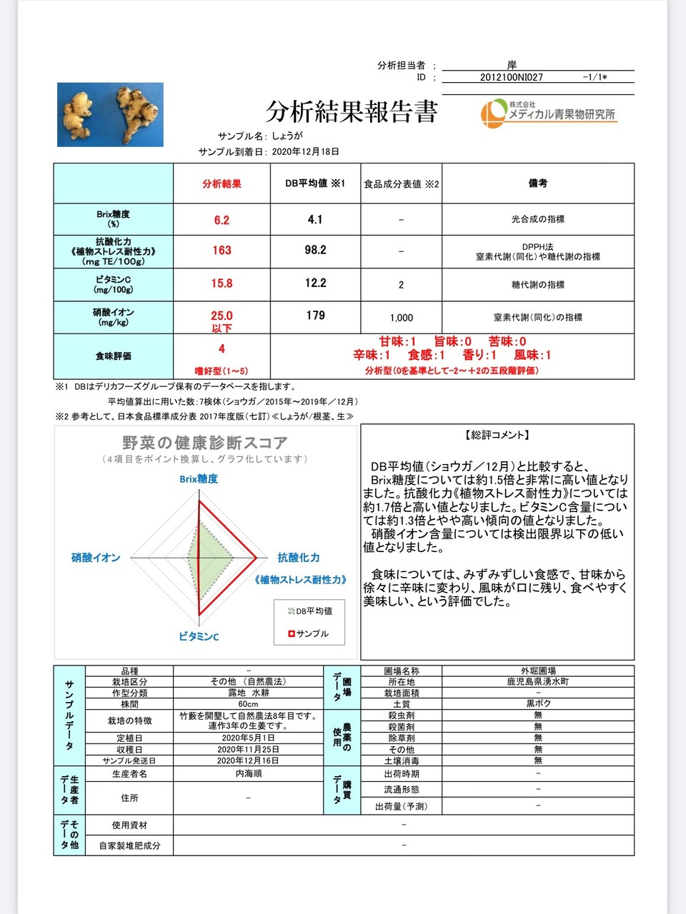 自然農法生姜のしょうがシロップ