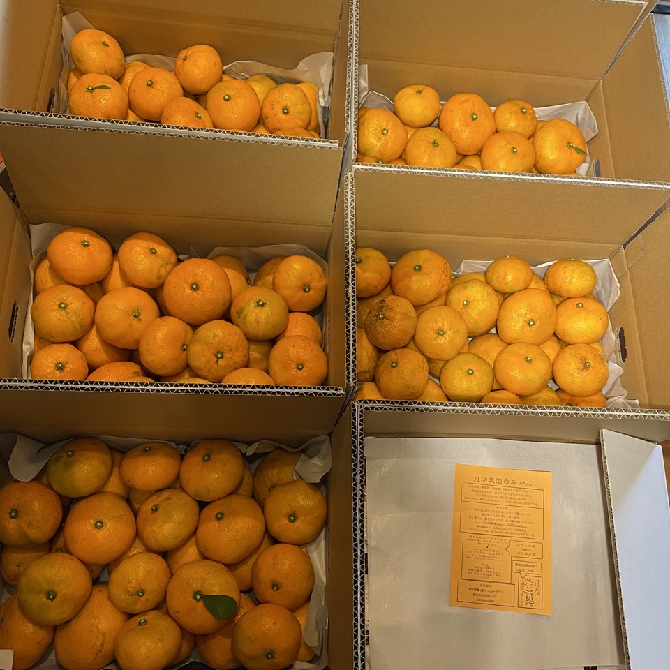 農薬不使用！青島みかん 鬼印農園 (大分県産) 果物ギフト通販 - たべる