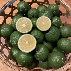 農薬・肥料不使用「青切りかぼす」