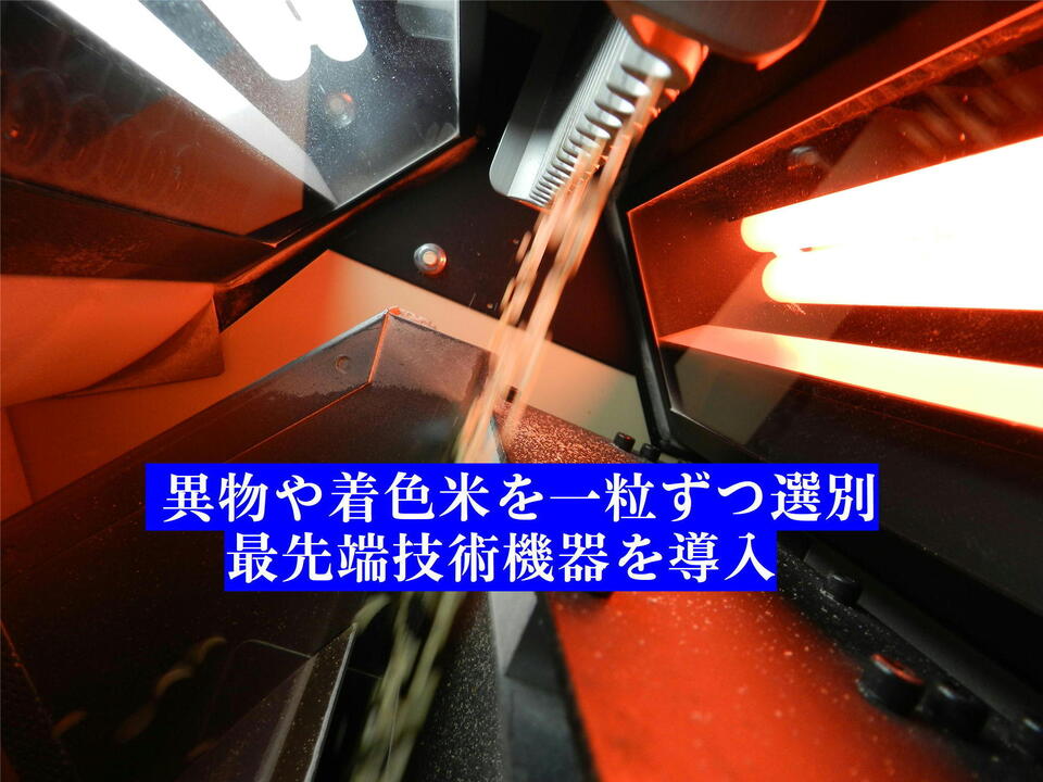 【新米予約】令和8年新潟産コシヒカリ(2015年より残留農薬ゼロ継続中)