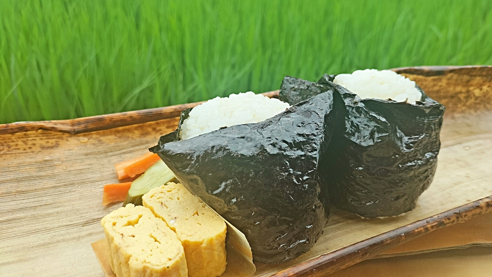 7年産】令和7年度産＜新潟産コシヒカリ＞真空パック（選べる精米 玄米