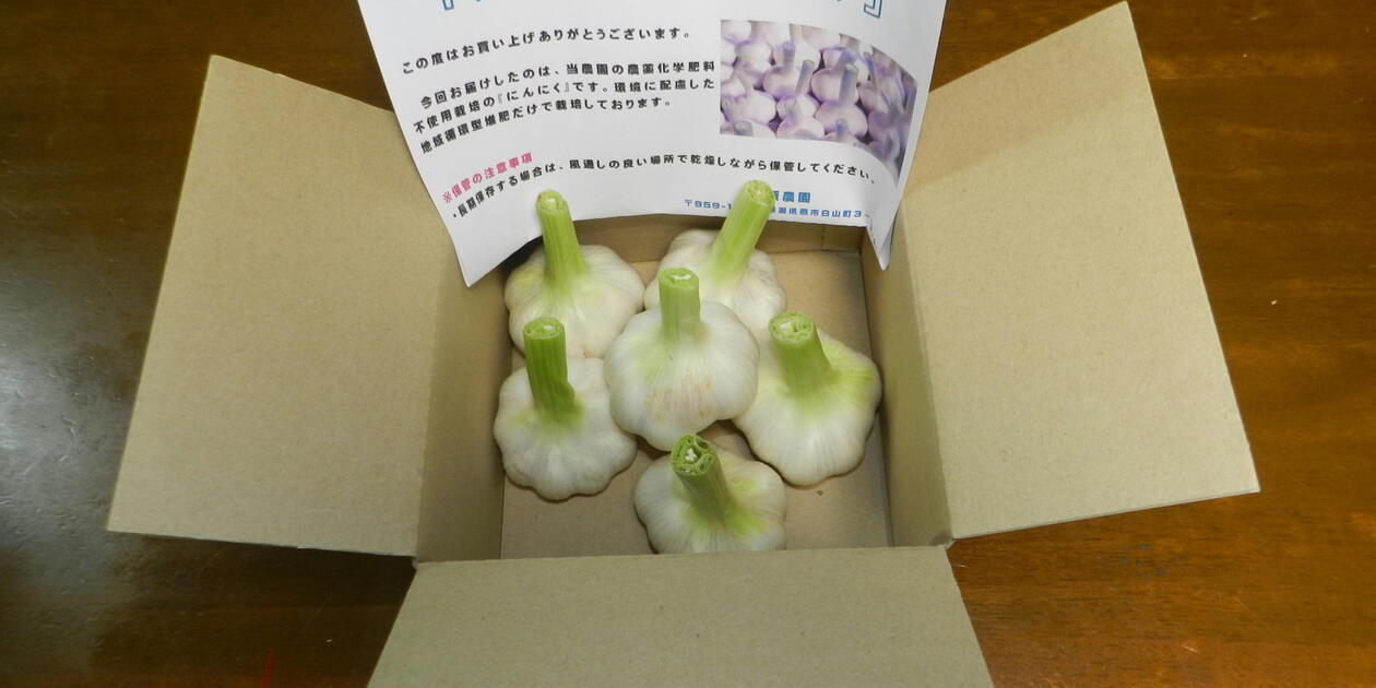 生は今だけ　農薬不使用　兵庫県産　ミニ生にんにく　9Kg 無農薬・自然農法・有機農産物などの産直通販 ふるさと21 / SKOS