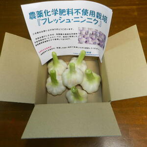 ジャンボニンニク15キロ(農薬,化学肥料不使用) 1a58ae198e745f5b601170775b7801