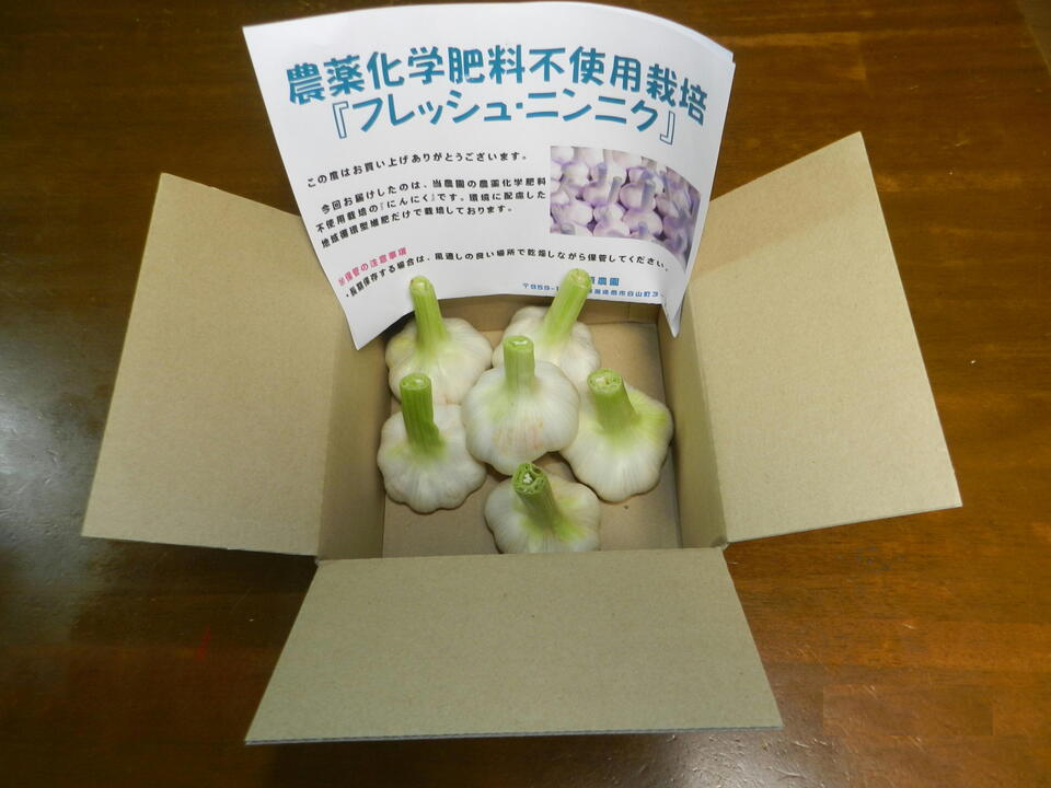 ジャンボニンニク20キロ(農薬，化学肥料不使用) ジャンボニンニク20キロ(農薬,化学肥料不使用)