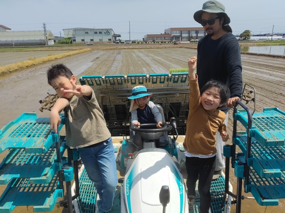 【7年産】数検定在庫処分価格＜新潟産コシヒカリ伊助＞（選択精米　玄米/白米/分づき米）2015年より連続残留農薬検出ゼロ