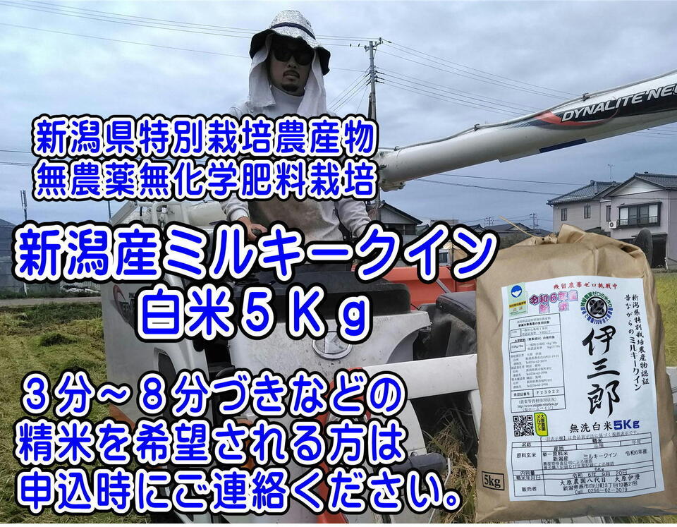 【【新米予約】令和8年新潟産ミルキークイン(2023年より残留農薬ゼロ継続中)