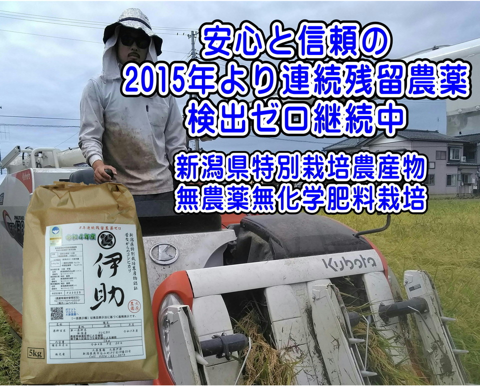 【7年産】数検定在庫処分価格＜新潟産コシヒカリ伊助＞（選択精米　玄米/白米/分づき米）2015年より連続残留農薬検出ゼロ