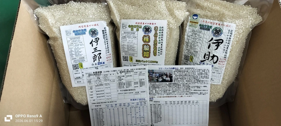 【予約8年産真空パック入り】新潟米コシヒカリ3兄弟食べ比べセット