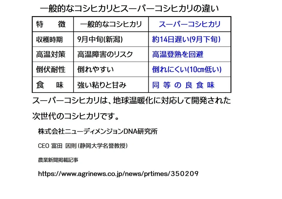 【予約8年産真空パック入り】新潟米コシヒカリ3兄弟食べ比べセット