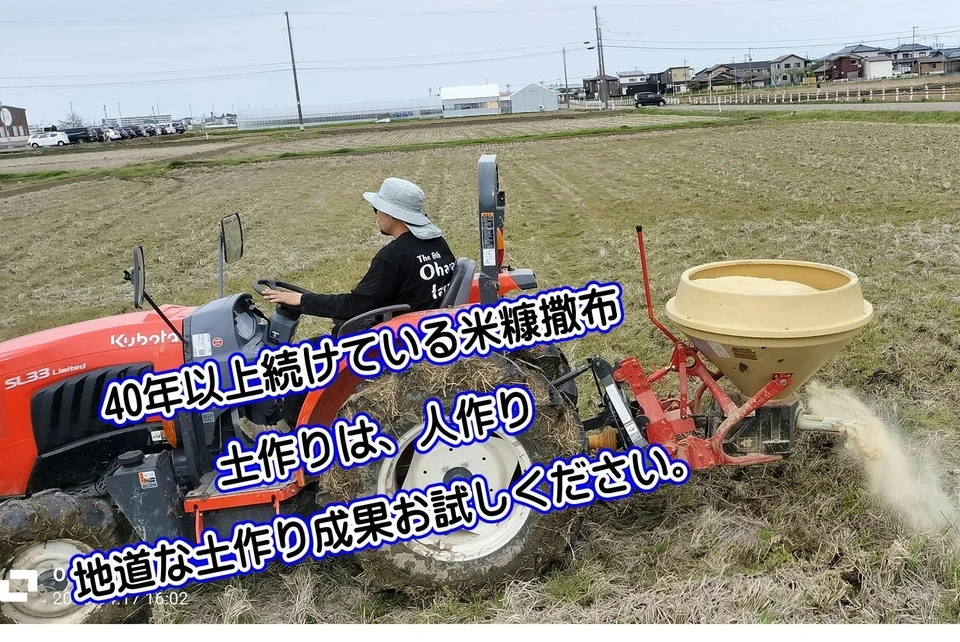 【【新米予約】令和8年新潟産ミルキークイン(2023年より残留農薬ゼロ継続中)