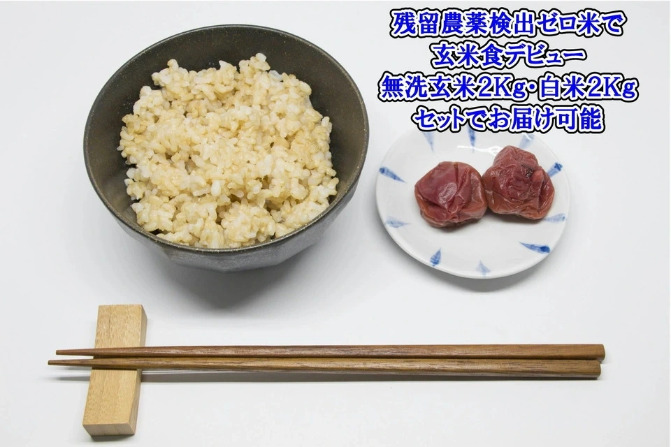 【定期発送】令和８年新潟産コシ伊助(2015年より残留農薬ゼロ継続中)