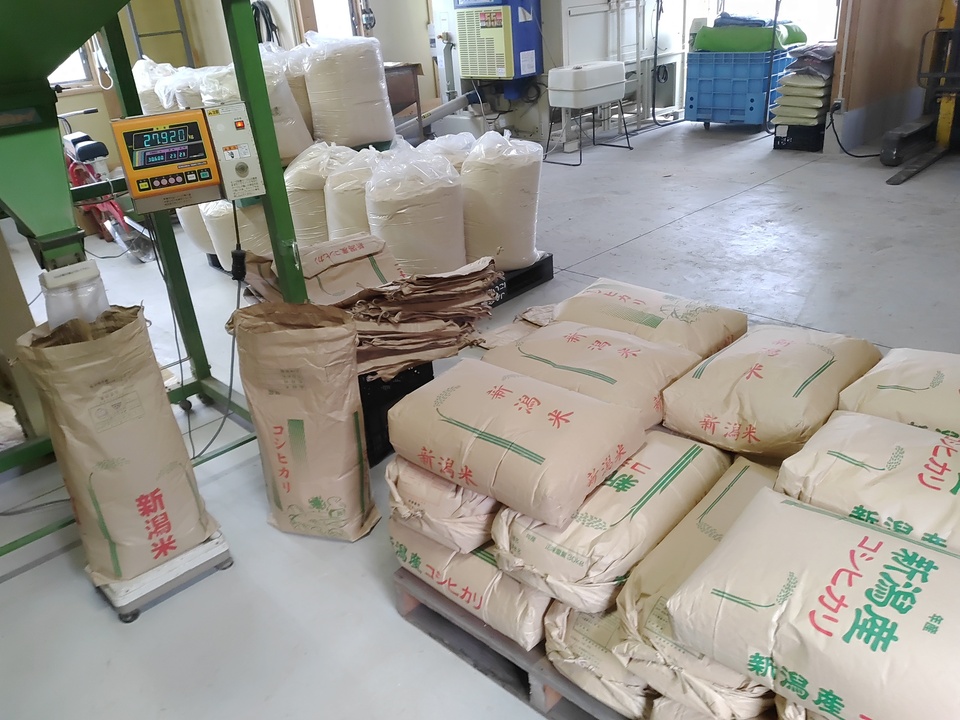7年産予約】令和7年度産＜新潟産コシヒカリ＞真空パック（選べる