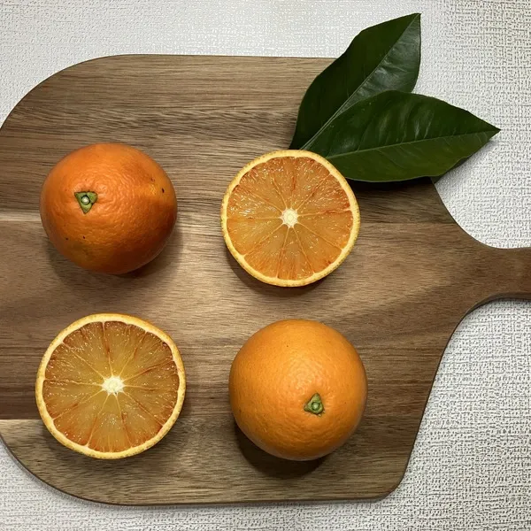 _600x600_260313221214.webp