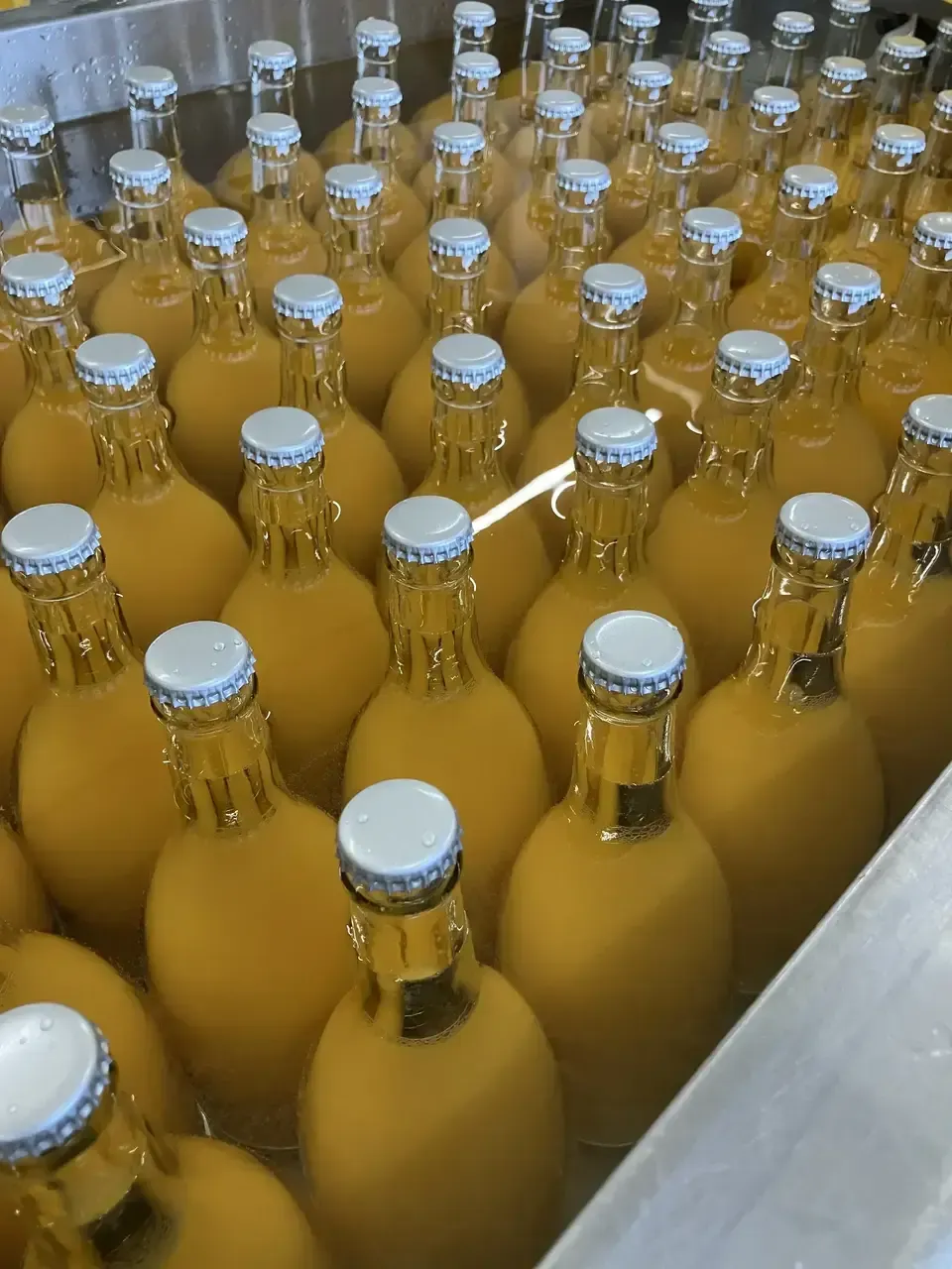 【お中元にも】愛媛県産オーガニック柑橘100%使用ストレートジュース 500ml 2本セット
