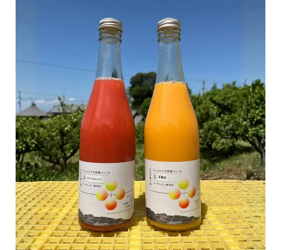 【お中元にも】愛媛県産オーガニック柑橘100%使用ストレートジュース 500ml 2本セット