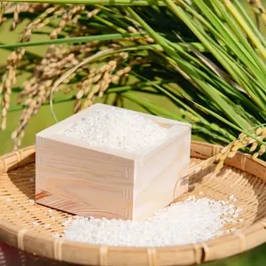 栃木県産農家直売いのちの壱玄米10kg 岐阜県産＜いのちの壱＞農薬・化学肥料不使用 オータニ農業 (岐阜県産