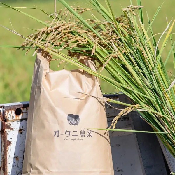 農家直送の無農薬玄米 - たべるとくらすと