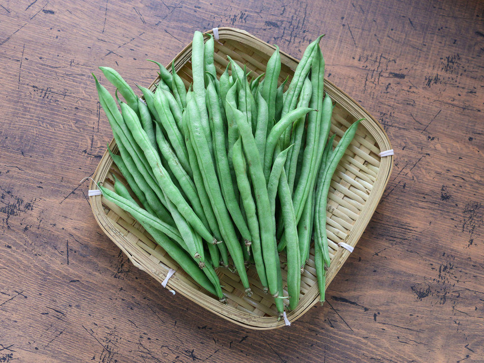 長野県産さやインゲン　規格品以外品 6kg 【露地栽培】自然成熟 _1260x630_200430155849.jpg