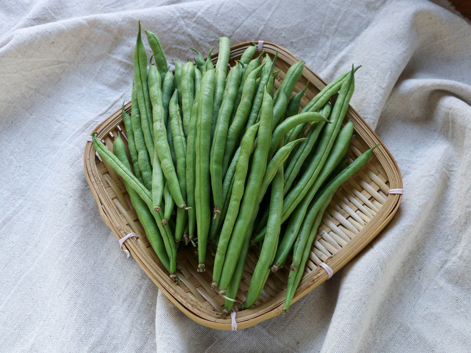 無農薬いんげん 与論のミネラルたっぷり！有機いんげん家庭用 Organic Farm