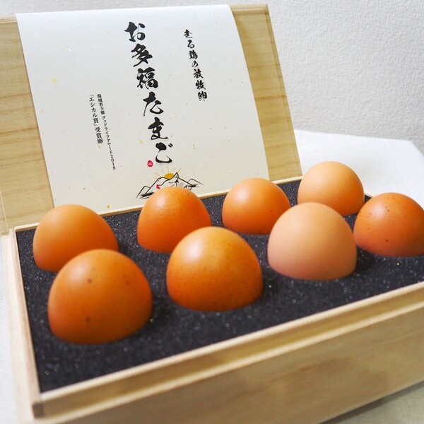 60サイズ
