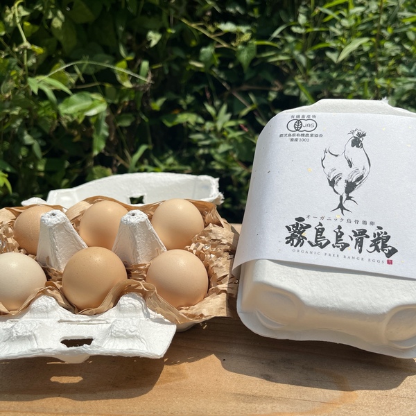 産卵床56個×５セット　280個まとめ売りショート　☆ジャンボ大福出品☆ 大寒卵】オーガニック卵「霧島烏骨鶏」/「お多福たまご」4種【ご予約