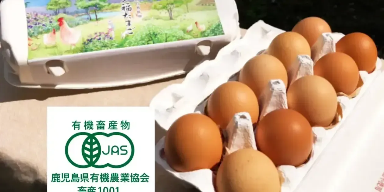 たまご商品 _1260x630_241009203051.webp