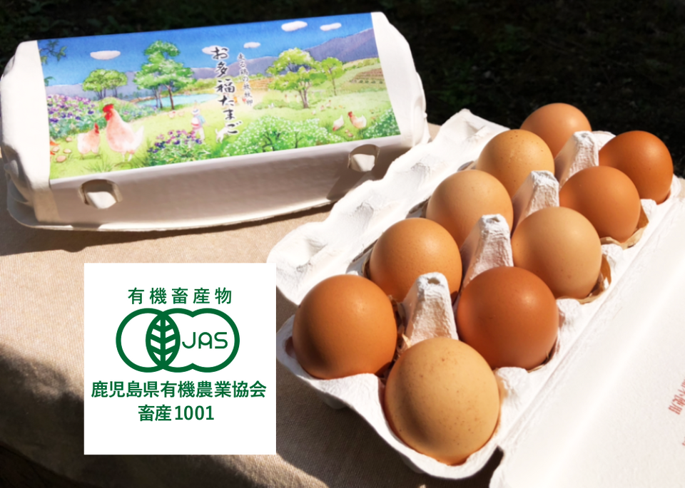 大寒卵】オーガニック卵「霧島烏骨鶏」/「お多福たまご」4種【ご予約