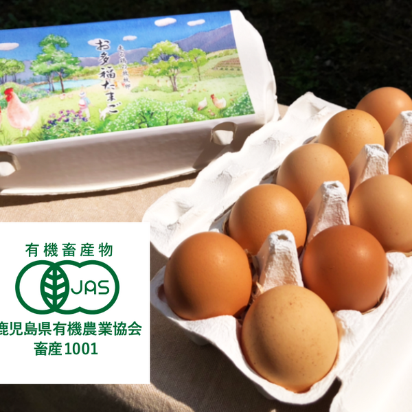 私たちの鶏は「放し飼い（Free Range）」で育てています