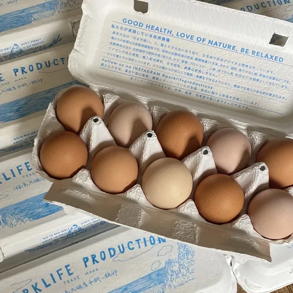 自然養鶏の放し飼い＜湘南大磯・平飼い卵＞自家製発酵飼料と天然の緑肥