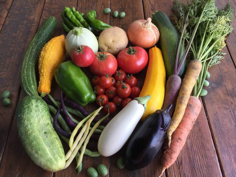 長野県産【無農薬】季節の旬野菜セット通販 農園くさむら通販