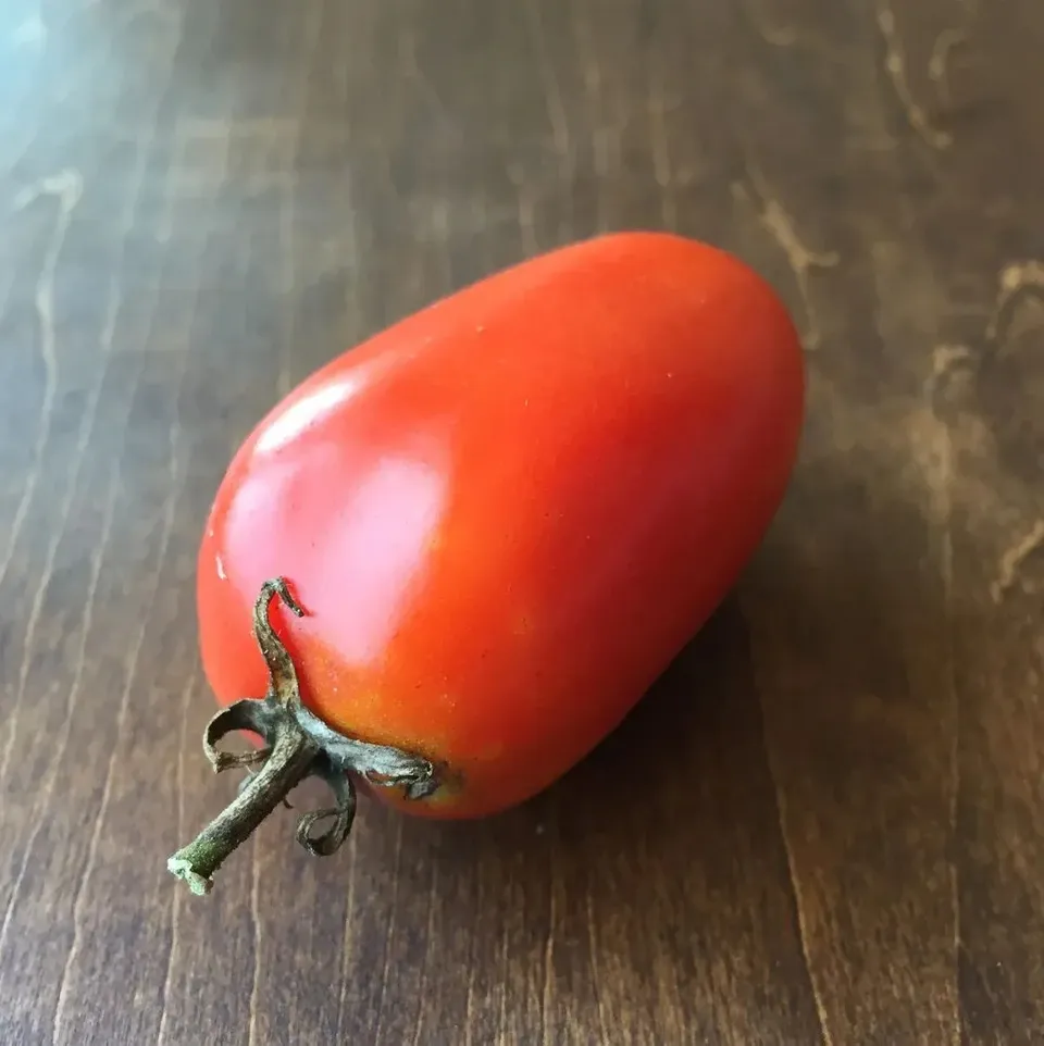 調理用 樹上完熟トマト「サン マルツァーノ」農薬・肥料不使用 農園