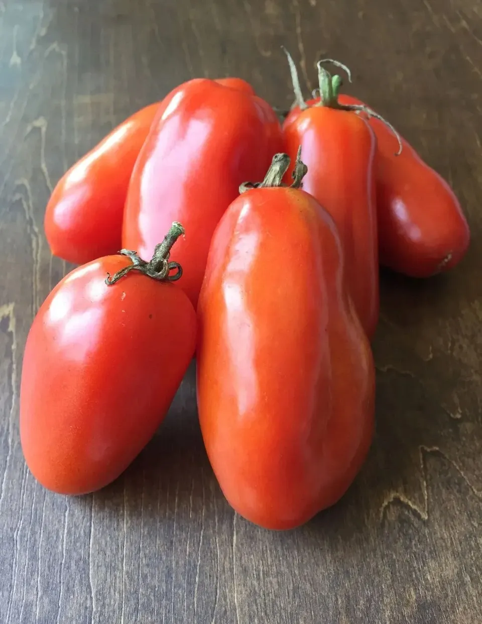 調理用 樹上完熟トマト「サン マルツァーノ」農薬・肥料不使用 農園