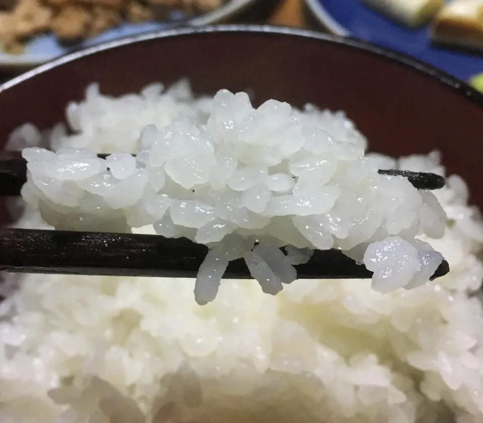 くさむら米 コシヒカリ 令和三年度産 白米(天日干し / 農薬・肥料不使用)