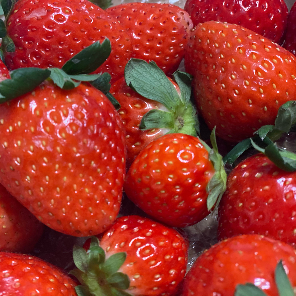 愛媛県産いちご&クーベルチュールホワイトチョコ&無添加ロゼワイン＜strawberry cute＞