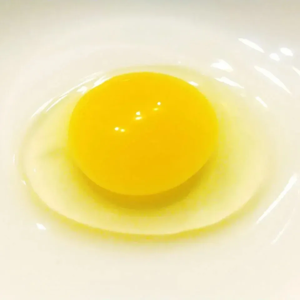 国産飼料の放牧有精卵「君は太陽」静岡発・サステナブルな循環型たまご