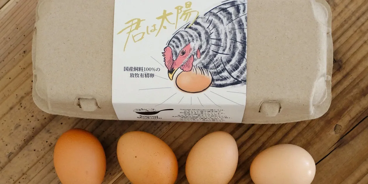 【西郷めだか】爆産中につき増量 固定率抜群 激かわ あけぼのダルマの有精卵 大量 70粒＋α | ダルマめだか 有精卵30個 お楽しみパック オロチだるま 幹之