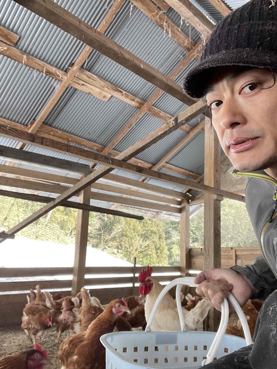 ＜平飼いのんびり卵＞おからや米粉など自家配合飼料で自然養鶏