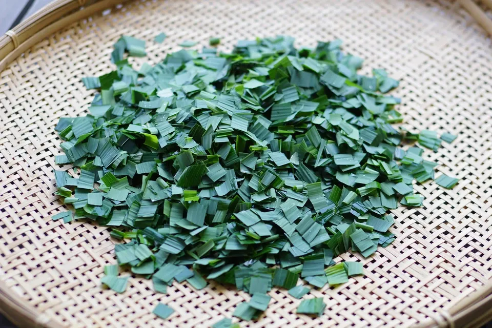 笹の葉 二種のハーブ【野山のボタニカル茶】 農薬・化学肥料不使用