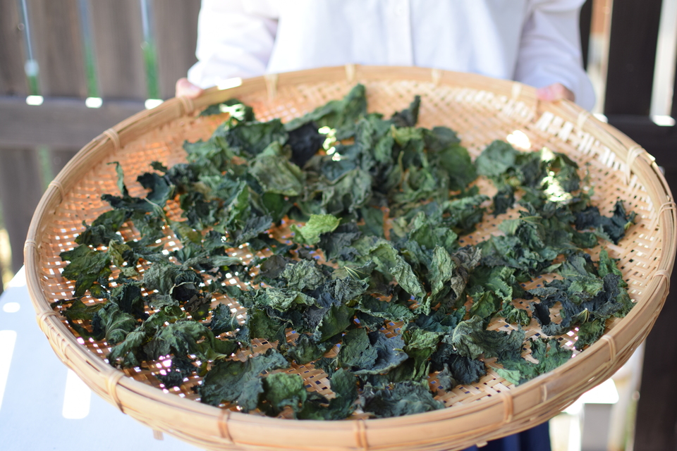 クワの葉 二種のハーブ【野山のボタニカル茶】 農薬・化学肥料不使用 