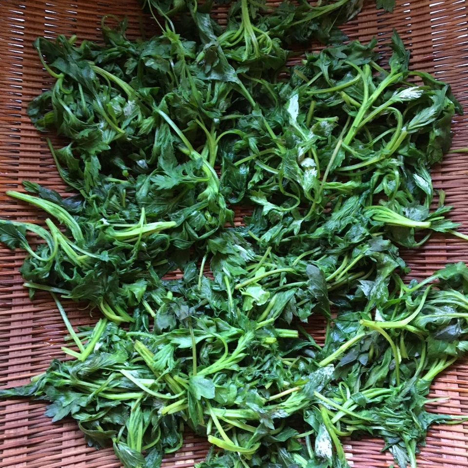 よもぎと二種のハーブ【野山のボタニカル茶】 農薬・化学肥料不使用 