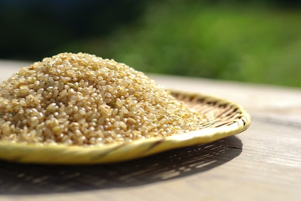 【2025年産・白米5kg】農薬・化学肥料不使用／新潟県産コシヒカリ（一等米）