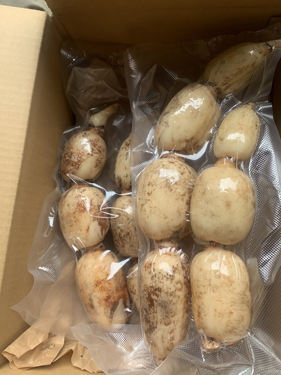 無農薬・無施肥の自然栽培のれんこん クール便発送