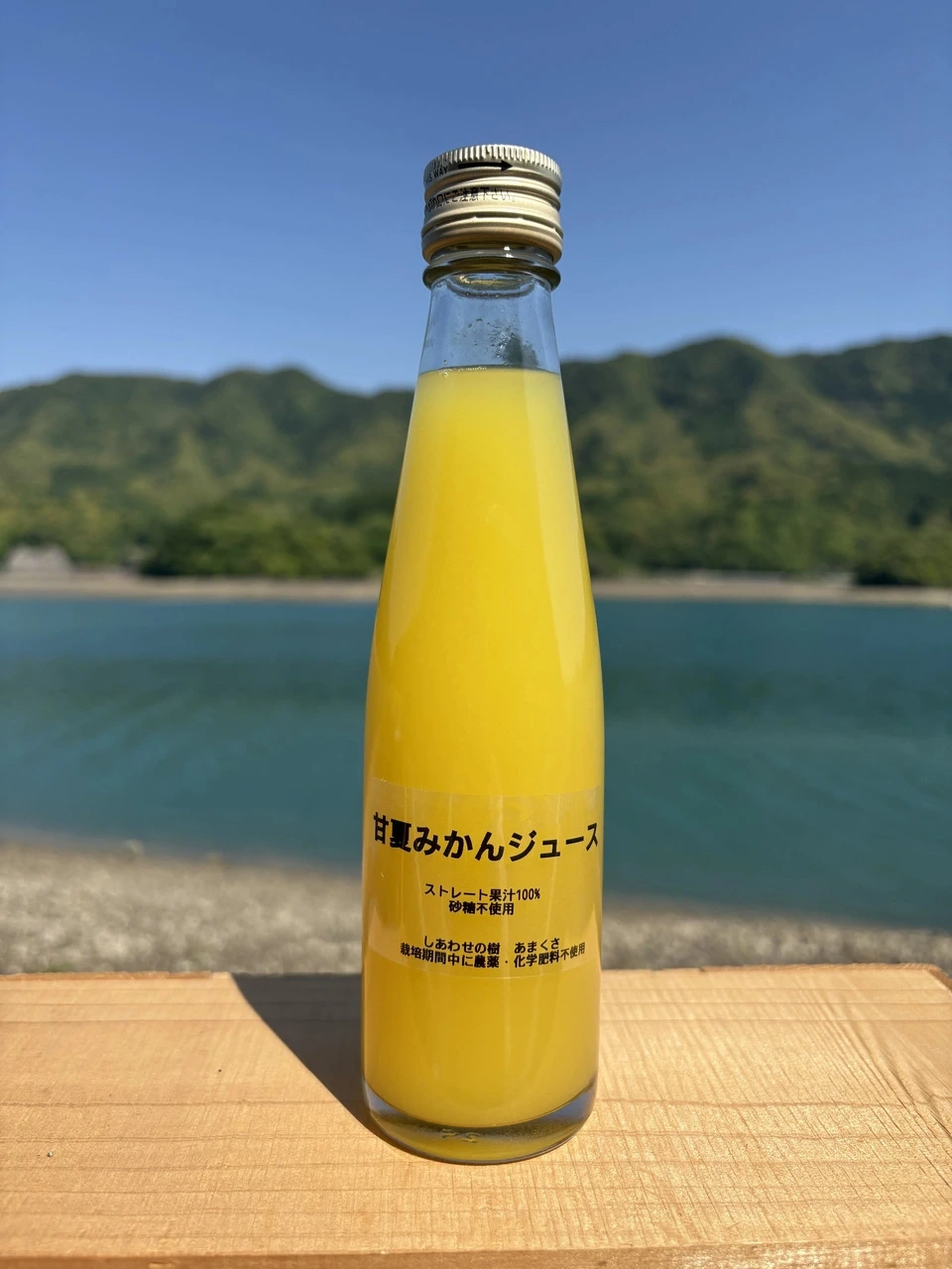 熊本県天草の海風と太陽が育てた<甘夏みかんジュース>農薬・化学肥料不使用の果汁100%ストレート