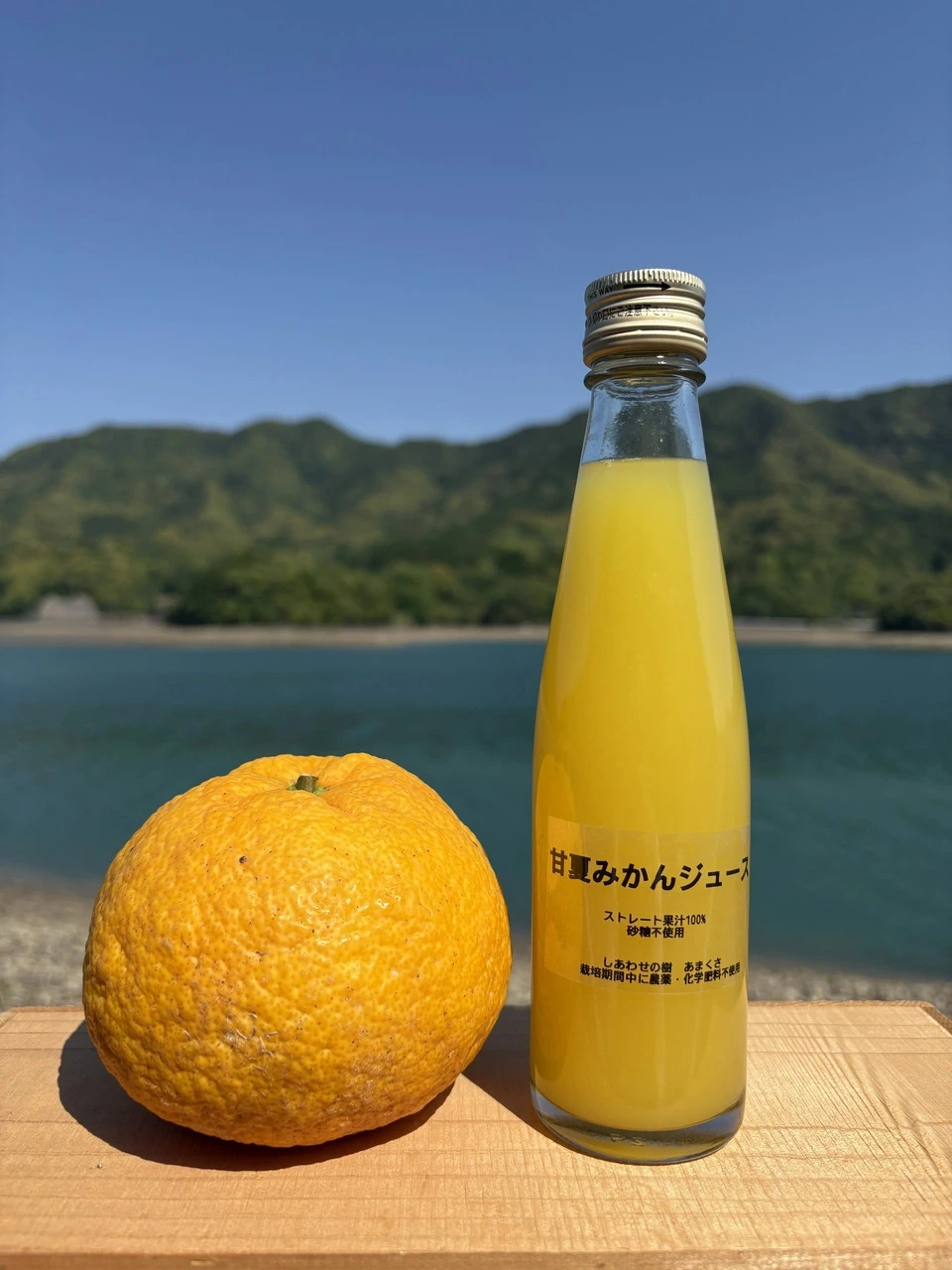 熊本県天草の海風と太陽が育てた<甘夏みかんジュース>農薬・化学肥料不使用の果汁100%ストレート