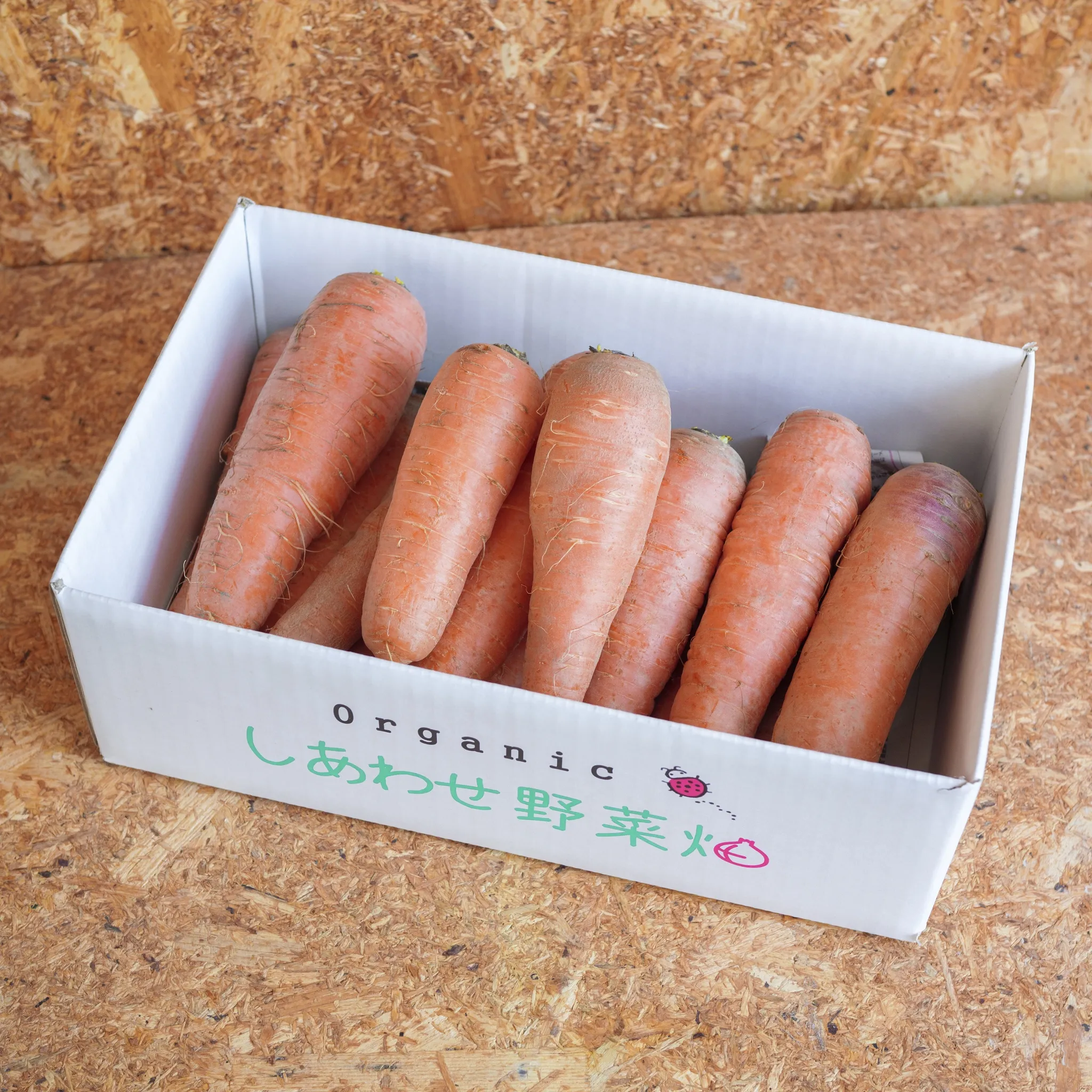 旬のにんじん 4.5kg＞農薬化学肥料不使用・静岡県産 オーガニック農園