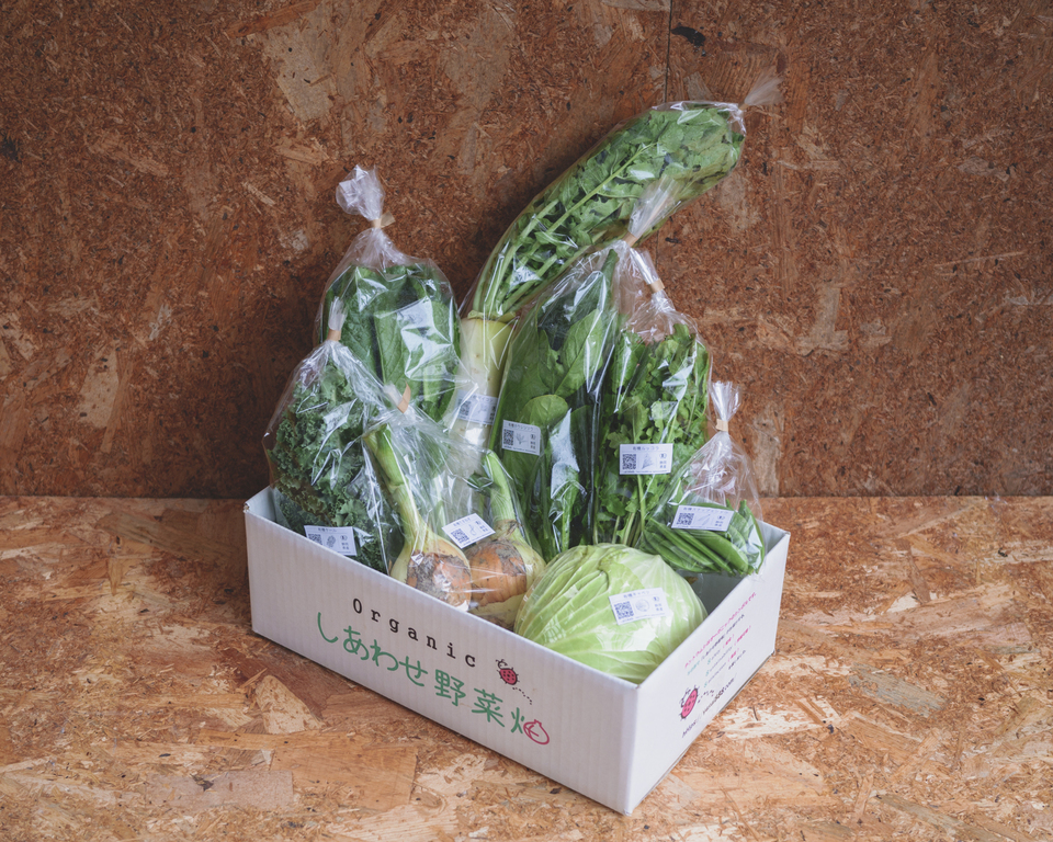 旨みと甘みの強い露地栽培<旬の有機野菜セット>農薬化学肥料不使用・静岡県産