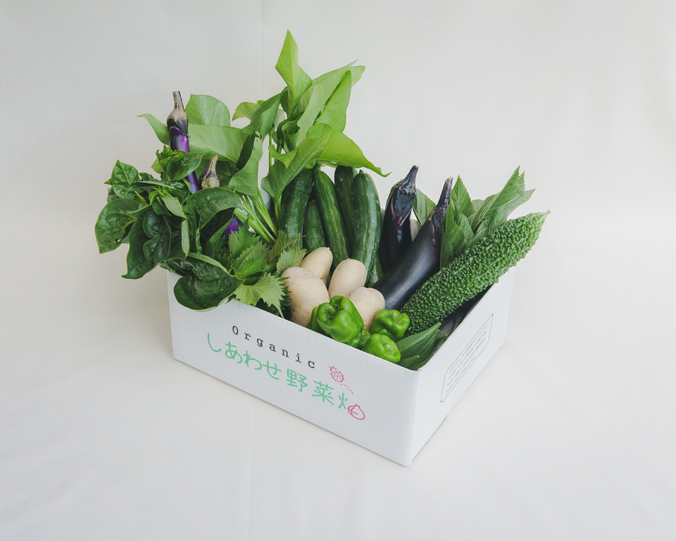 旨みと甘みの強い露地栽培<旬の有機野菜セット>農薬化学肥料不使用・静岡県産