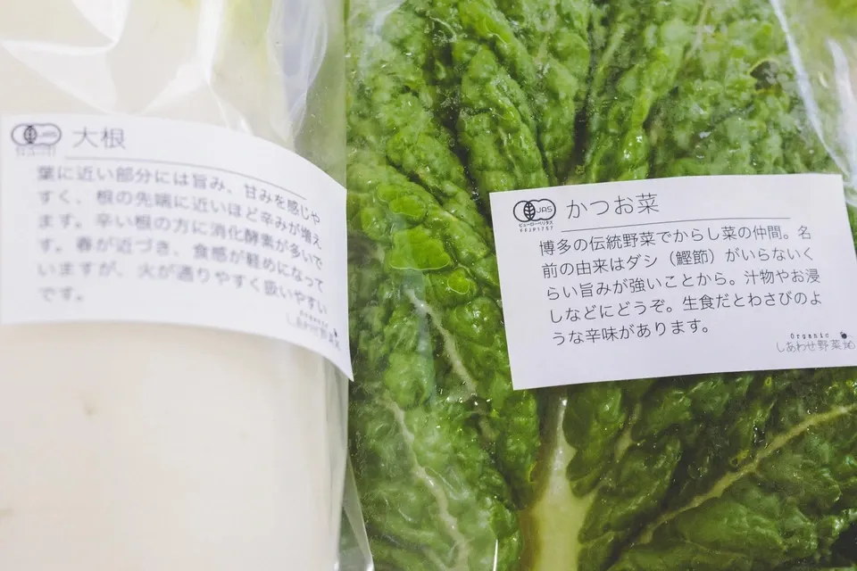 旨みと甘みの強い露地栽培＜旬の有機野菜セット＞農薬化学肥料不使用