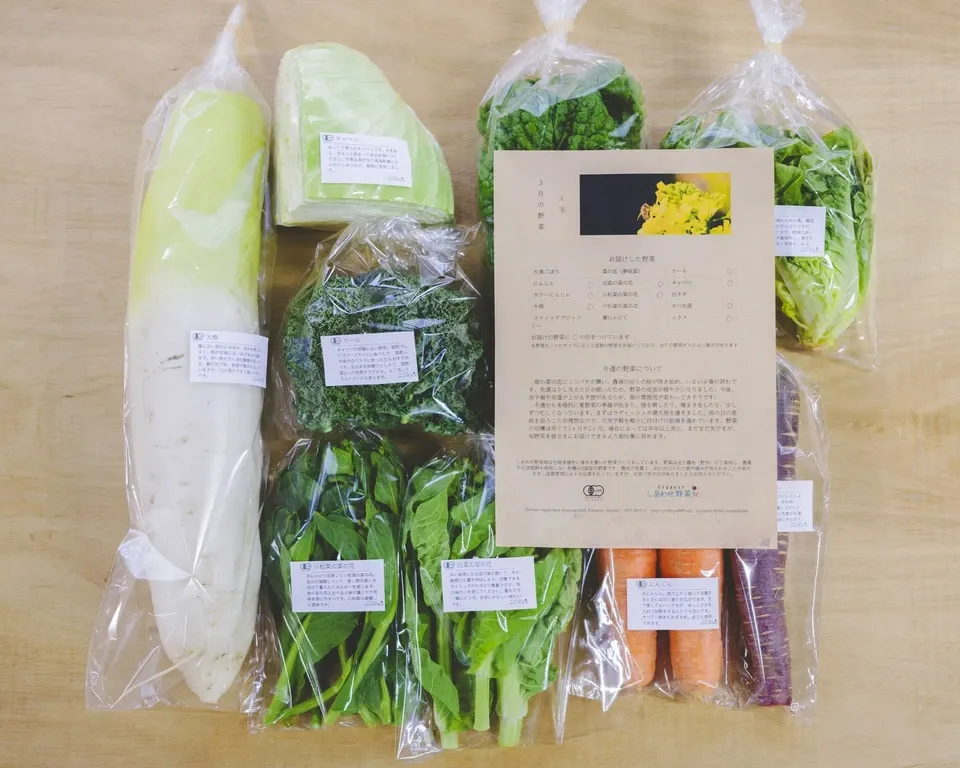 旨みと甘みの強い露地栽培<旬の有機野菜セット>農薬化学肥料不使用・静岡県産